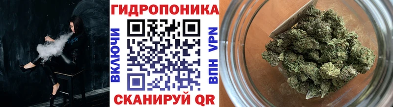 Метадон Сосенский