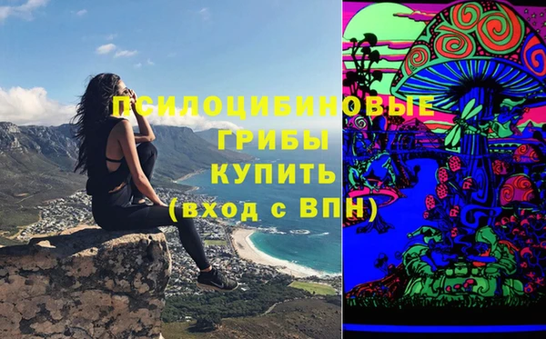 альфа пвп Алексеевка