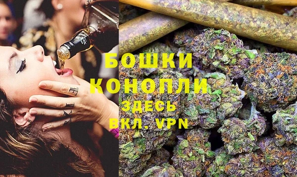 spice Алексин