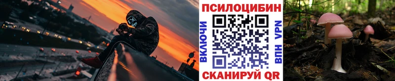 Псилоцибиновые грибы прущие грибы  купить наркотики сайты  Сосенский 